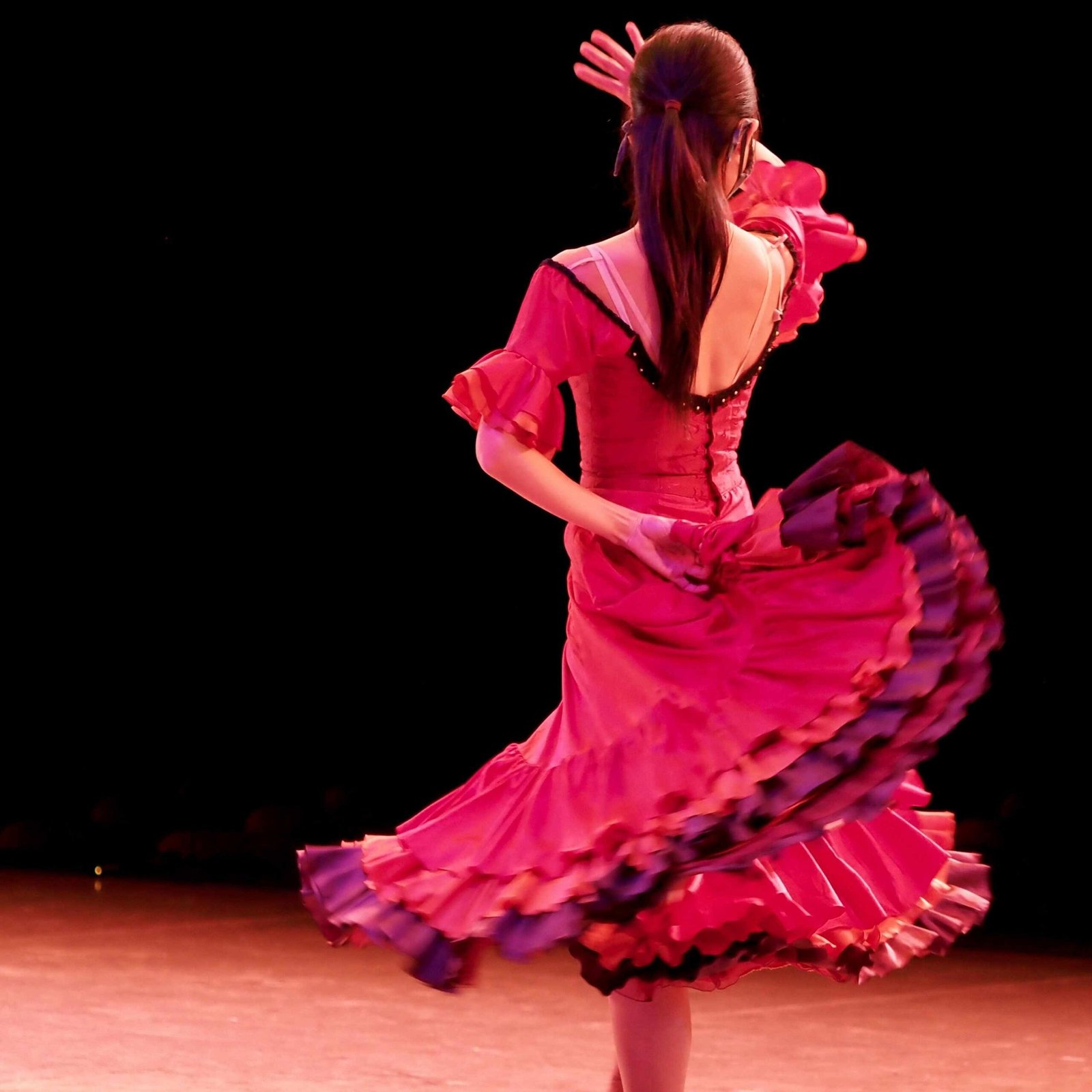 Flamenco Spain